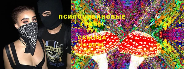 spice Алзамай