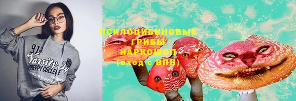 spice Алзамай