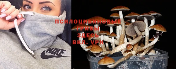 каннабис Алексин